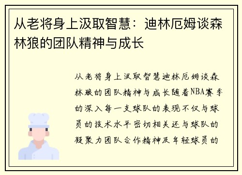 从老将身上汲取智慧：迪林厄姆谈森林狼的团队精神与成长